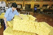 Giá cao su Tocom giảm theo giá dầu